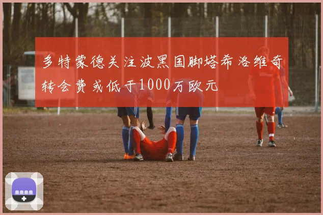 多特蒙德关注波黑国脚塔希洛维奇转会费或低于1000万欧元